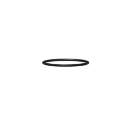 O Ring - Top Sub